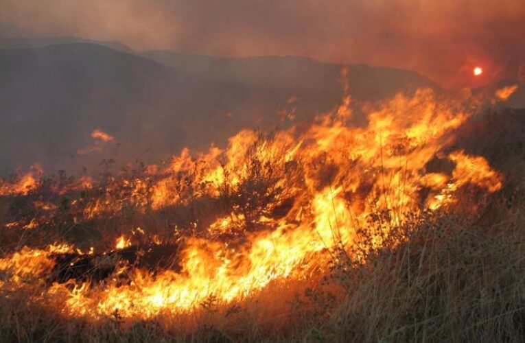 7 πυρκαγιές προκλήθηκαν μέχρι στιγμής στην Επαρχία Πάφου, 18 χθες