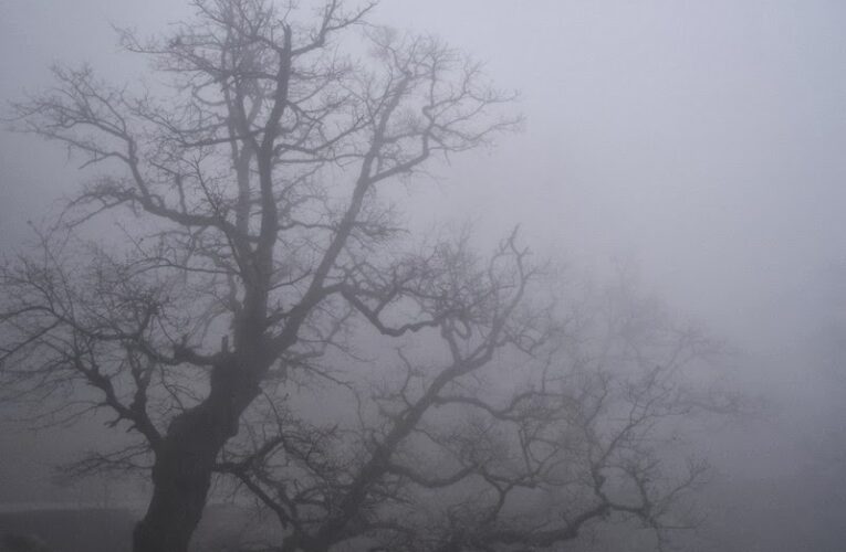 Πυκνή ομίχλη στην Πάφο