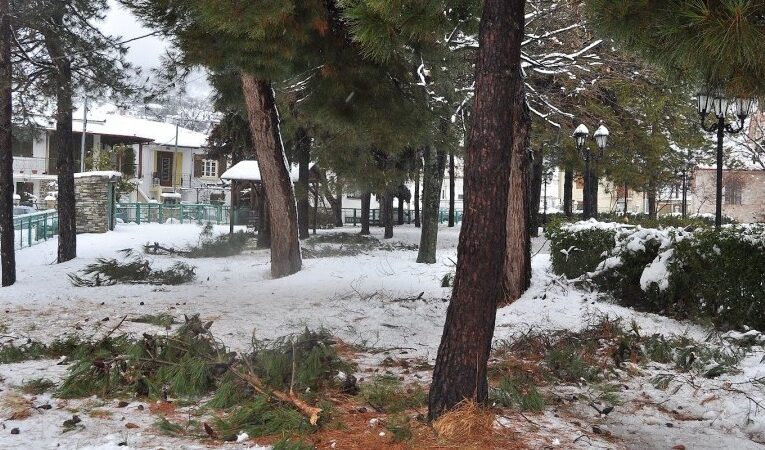 Κλειστά σχολεία και δρόμοι στην Πάφο λόγω χιονόπτωσης