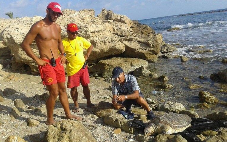 Ψαράδες “σκότωσαν” μια χελώνα καρέτα-καρέτα