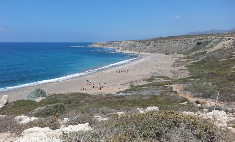 Εθελοντές καθάρισαν την παραλία της Λάρας