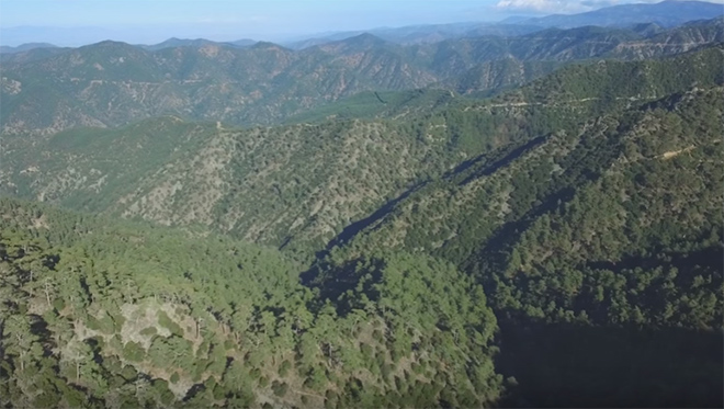 Προκαλεί Ίλιγγο – Video από Drone στο Δάσος της Πάφου