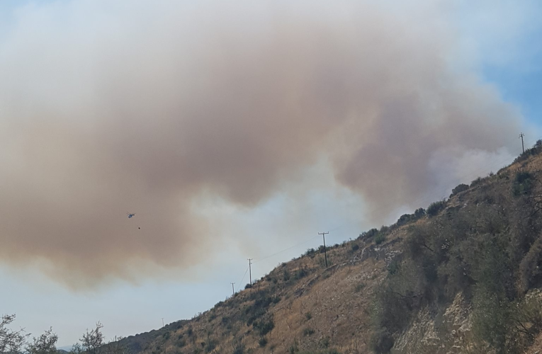 Μεγάλη πυρκαγιά μαίνεται σε περιοχή μεταξύ Σκούλλη και Ακουρδάλειας (PHOTOS)