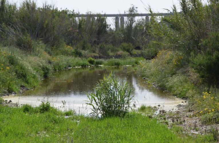 Η ανάγκη για καλύτερη αξιοποίηση του νερού του ποταμού «Έζουσα»