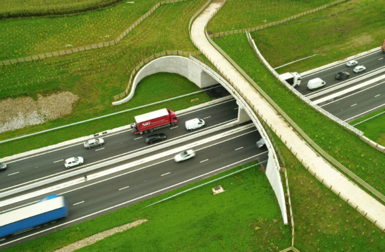 ΕΒΕ Πάφου: Προτείνουν “πράσινη γέφυρα” ως λύση για τον νέο δρόμο Αεροδρομίου
