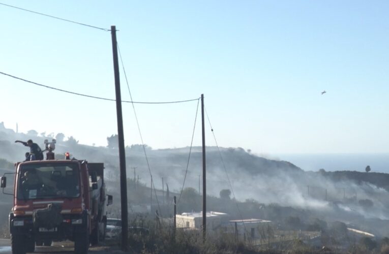 Υπό πλήρη έλεγχο η φωτιά στην Πάνω Ακουρδάλεια.