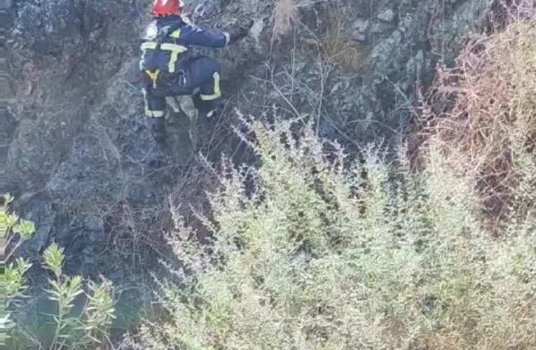 Διάσωση σκύλου από χαράδρα βάθους 20 μέτρων στην Πάφο