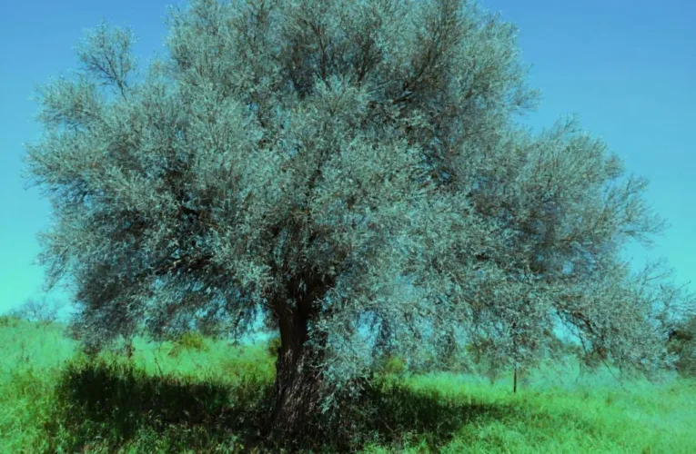 Χαιρετίζει τις εξαγγελίες για την περιοχή Τηλλυρίας ο πρόεδρος του Συμπλέγματος