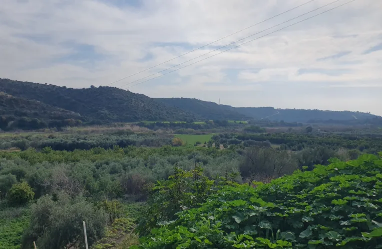 Προβλήματα άρδευσης και στελέχωσης στις κοινότητες Διαρίζου-Ξεροποτάμου, λέει ο Χ. Πάζαρος